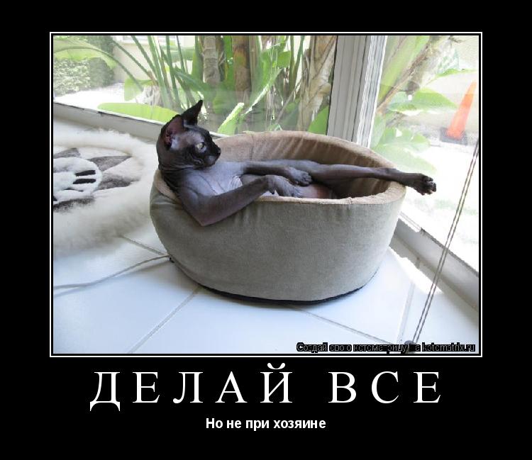 Делай всё Но не при хозяине... Котоматрица: Делай всё Но не при хозяине