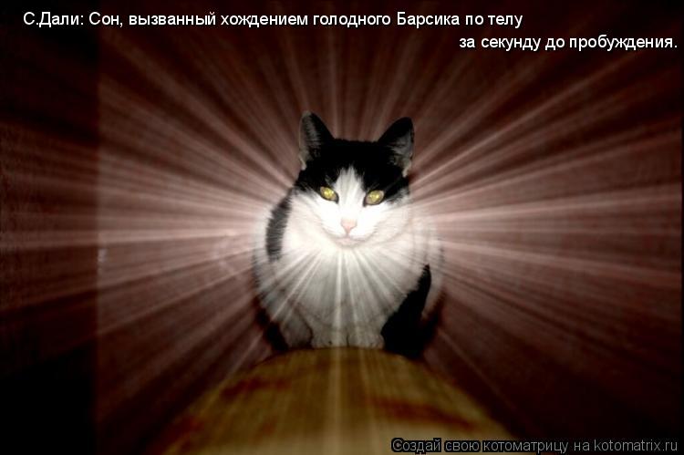 С.Дали: Сон, вызванный хождением голодного Барсика по телу за секунду до пробуждения.... Котоматрица: С.Дали: Сон, вызванный хождением голодного Барсика по телу за секунду до пробуждения.