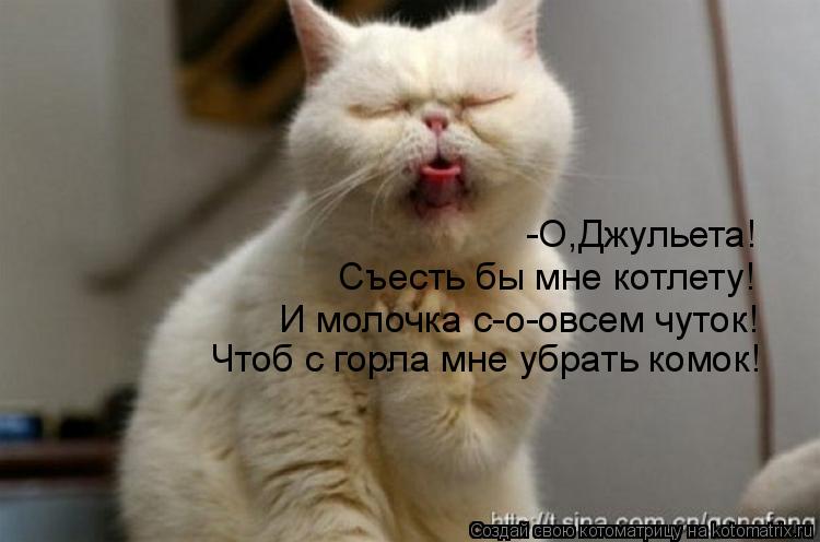 -О,Джульета! Съесть бы мне котлету! И молочка с-о-овсем чуток! Чтоб с горла мне убрать комок!... Котоматрица: -О,Джульета! Съесть бы мне котлету! И молочка с-о-овсем чуток! Чтоб с горла мне убрать комок!