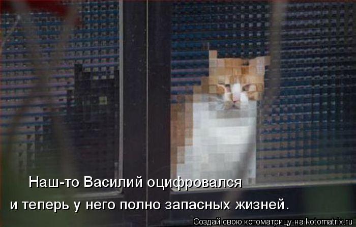 Наш-то Василий оцифровался и теперь у него полно запасных жизней.... Котоматрица: Наш-то Василий оцифровался и теперь у него полно запасных жизней.