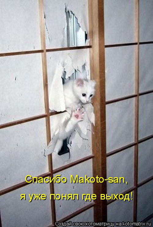 Спасибо Makoto-san, я уже понял где выход!... Котоматрица: Спасибо Makoto-san, я уже понял где выход!