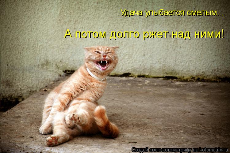 Удача улыбается смелым... А потом долго ржепт А потом долго ржет над ними!... Котоматрица: Удача улыбается смелым... А потом долго ржепт А потом долго ржет над ними!