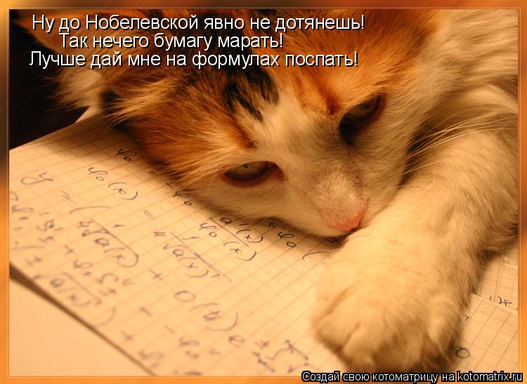 Ну до Нобелевской явно не дотянешь! Так нечего бумагу марать! Лучше дай мне на формулах поспать!... Котоматрица: Ну до Нобелевской явно не дотянешь! Так нечего бумагу марать! Лучше дай мне на формулах поспать!