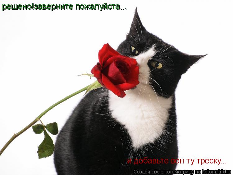 решено!заверните пожалуйста... и добавьте вон ту треску...... Котоматрица: решено!заверните пожалуйста... и добавьте вон ту треску...