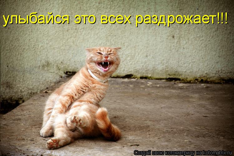 улыбайся это всех раздрожает!!!... Котоматрица: улыбайся это всех раздрожает!!!