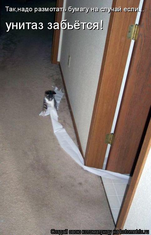 Так,надо размотать бумагу на случай если... унитаз забьётся!... Котоматрица: Так,надо размотать бумагу на случай если... унитаз забьётся!
