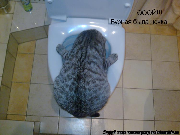 ОООЙ!!! Бурная была ночка...... Котоматрица: ОООЙ!!! Бурная была ночка...
