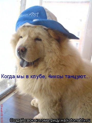 Когда мы в клубе, 4иксы танцуют...... Котоматрица: Когда мы в клубе, 4иксы танцуют...