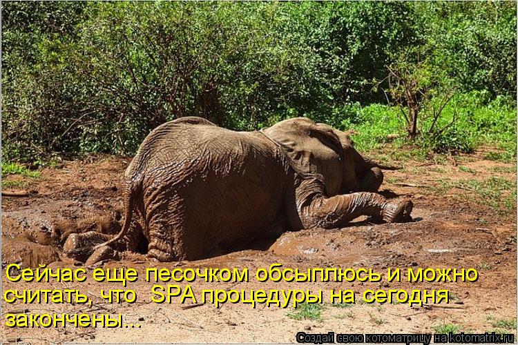 Сейчас еще песочком обсыплюсь и можно считать, что SPA процедуры на сегодня закончены...... Котоматрица: Сейчас еще песочком обсыплюсь и можно считать, что SPA процедуры на сегодня закончены...
