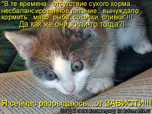 Я сейчас разрыдаюсь...от ЗАВИСТИ!!! "В те времена...отсутствие сухого корма... несбалансированное пит... Котоматрица: Я сейчас разрыдаюсь...от ЗАВИСТИ!!! "В те времена...отсутствие сухого корма... несбалансированное питание...вынуждало кормить...мясо, рыба, соси