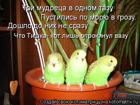 Пустились по морю в грозу. Три мудреца в одном тазу Дошло до них не сразу Что Тишка- кот лишь опроки... Котоматрица: Пустились по морю в грозу. Три мудреца в одном тазу Дошло до них не сразу Что Тишка- кот лишь опрокинул вазу