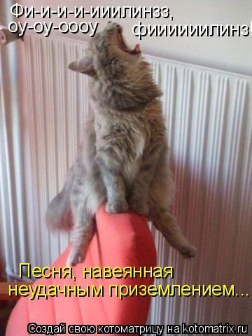Котоматрица: Фи-и-и-и-ииилинзз,  оу-оу-оооу  фиииииилинз!........ Песня, навеянная  неудачным приземлением...