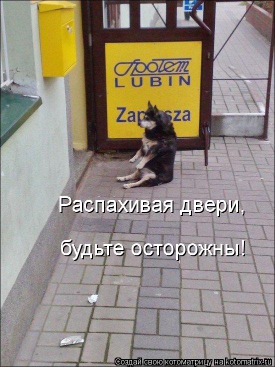 Котоматрица: Распахивая двери,  будьте осторожны!