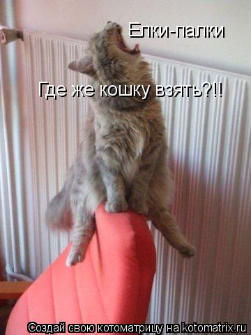 Елки-палки Где же кошку взять?!!... Котоматрица: Елки-палки Где же кошку взять?!!