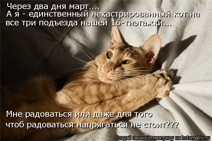 Через два дня март.... А я - единственный некастрированный кот на все три подъезда нашей 16-тиэтажки.... Котоматрица: Через два дня март.... А я - единственный некастрированный кот на все три подъезда нашей 16-тиэтажки... Мне радоваться или даже для того чтоб ра