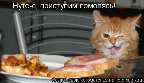 Нуте-с, приступим помолясь!... Котоматрица: Нуте-с, приступим помолясь!