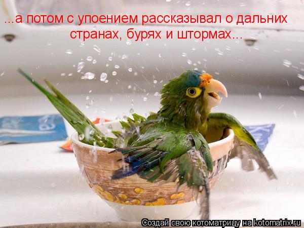 ...а потом с упоением рассказывал о дальних странах, бурях и штормах...... Котоматрица: ...а потом с упоением рассказывал о дальних странах, бурях и штормах...