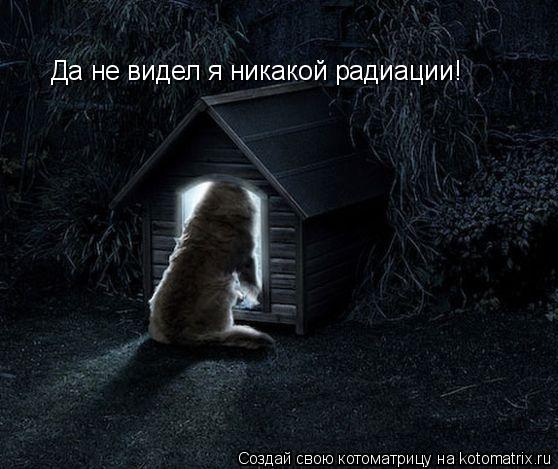 Да не видел я никакой радиации!... Котоматрица: Да не видел я никакой радиации!