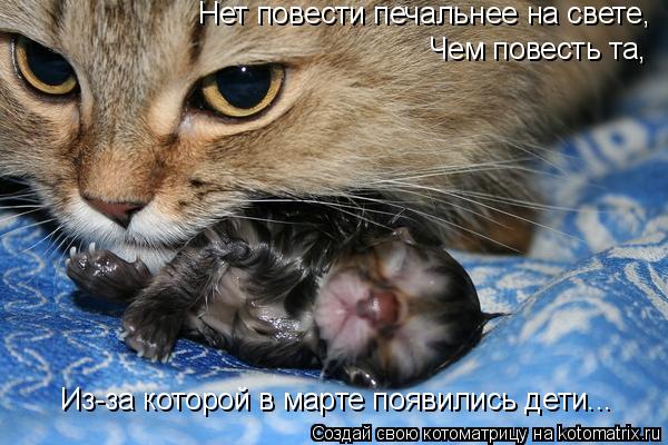 Нет повести печальнее на свете, Чем повесть та, Из-за которой в марте появились дети...... Котоматрица: Нет повести печальнее на свете, Чем повесть та, Из-за которой в марте появились дети...