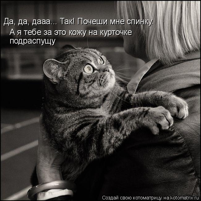 Да, да, дааа... Так! Почеши мне спинку. А я тебе за это кожу на курточке подраспущу... Котоматрица: Да, да, дааа... Так! Почеши мне спинку. А я тебе за это кожу на курточке подраспущу