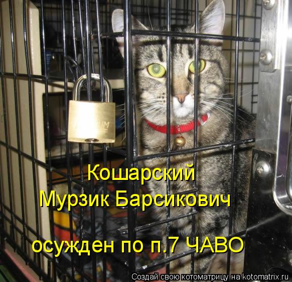 Кошарский Мурзик Барсикович осужден по п.7 ЧАВО... Котоматрица: Кошарский Мурзик Барсикович осужден по п.7 ЧАВО