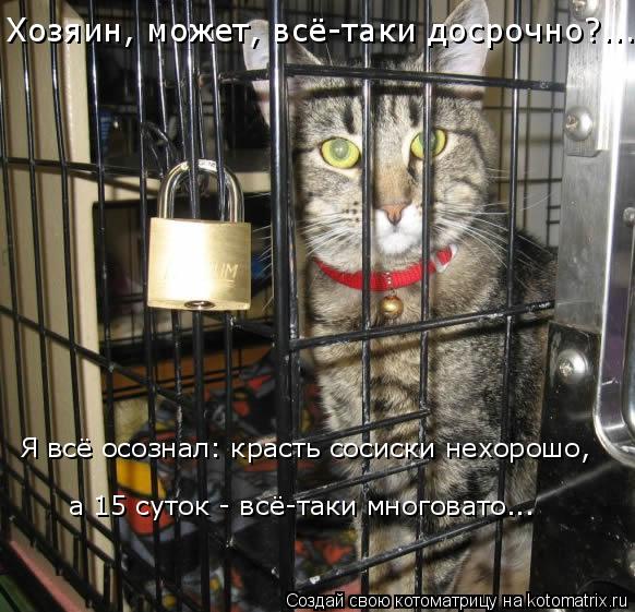 Котоматрица: Хозяин, может, всё-таки досрочно?... Я всё осознал: красть сосиски нехорошо, а 15 суток - всё-таки многовато...
