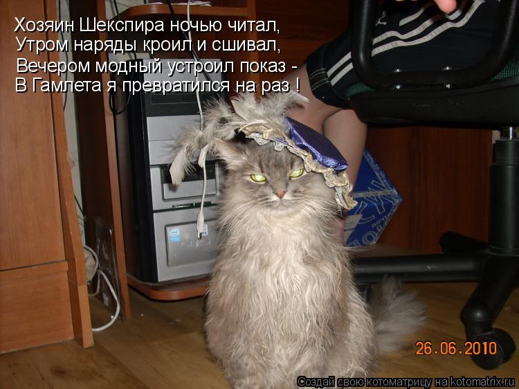 Хозяин Шекспира ночью читал, Утром наряды кроил и сшивал, Вечером модный устроил показ - В Гамлета я... Котоматрица: Хозяин Шекспира ночью читал, Утром наряды кроил и сшивал, Вечером модный устроил показ - В Гамлета я превратился на раз !
