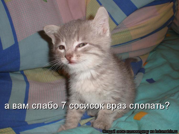 Котоматрица: а вам слабо 7 сосисок враз слопать?