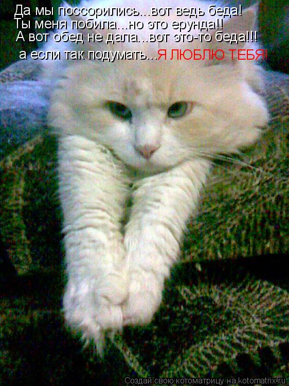Да мы поссорились...вот ведь беда! Ты меня побила...но это ерунда!! А вот обед не дала...вот это-то б... Котоматрица: Да мы поссорились...вот ведь беда! Ты меня побила...но это ерунда!! А вот обед не дала...вот это-то беда!!! а если так подумать... Я ЛЮБЛЮ ТЕБЯ!