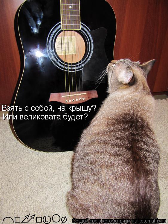 Взять с собой, на крышу? Или великовата будет?... Котоматрица: Взять с собой, на крышу? Или великовата будет?