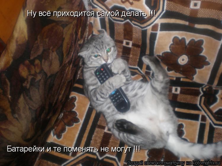 Ну всё приходится самой делать !!! Батарейки и те поменять не могут !!!... Котоматрица: Ну всё приходится самой делать !!! Батарейки и те поменять не могут !!!