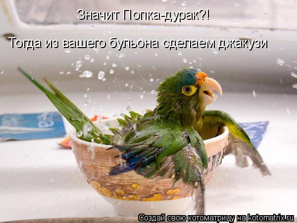 Значит Попка-дурак?! Тогда из вашего бульона сделаем джакузи... Котоматрица: Значит Попка-дурак?! Тогда из вашего бульона сделаем джакузи