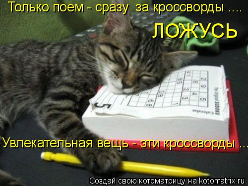 Только поем - сразу за кроссворды .... ЛОЖУСЬ Увлекательная вещь - эти кроссворды ...... Котоматрица: Только поем - сразу за кроссворды .... ЛОЖУСЬ Увлекательная вещь - эти кроссворды ...