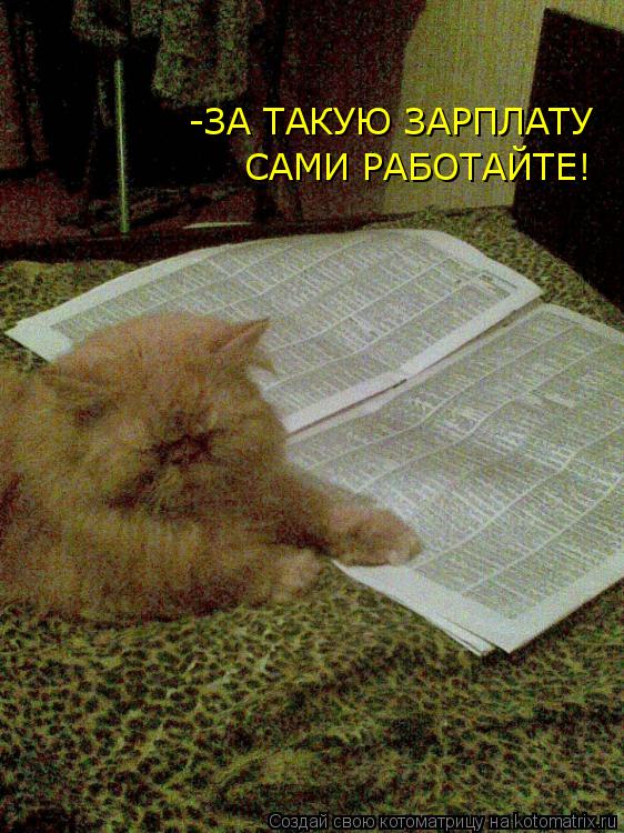 -ЗА ТАКУЮ ЗАРПЛАТУ САМИ РАБОТАЙТЕ!... Котоматрица: -ЗА ТАКУЮ ЗАРПЛАТУ САМИ РАБОТАЙТЕ!