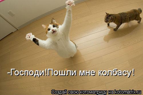 -Господи!Пошли мне колбасу!... Котоматрица: -Господи!Пошли мне колбасу!