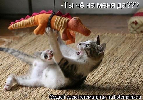 -Ты чё на меня да???... Котоматрица: -Ты чё на меня да???
