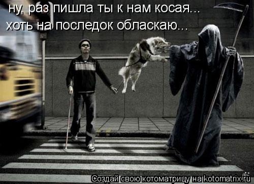 ну, раз пишла ты к нам косая... хоть на последок обласкаю...... Котоматрица: ну, раз пишла ты к нам косая... хоть на последок обласкаю...
