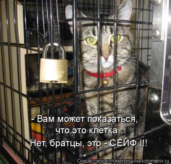 - Вам может показаться, что это клетка... Нет, братцы, это - СЕЙФ !!!... Котоматрица: - Вам может показаться, что это клетка... Нет, братцы, это - СЕЙФ !!!