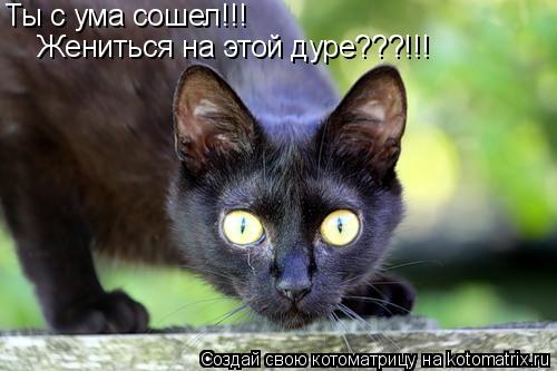 Котоматрица: Ты с ума сошел!!! Жениться на этой дуре???!!!