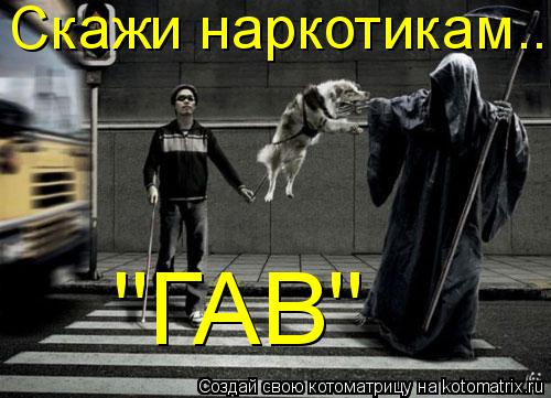 Скажи наркотикам... "ГАВ"... Котоматрица: Скажи наркотикам... "ГАВ"