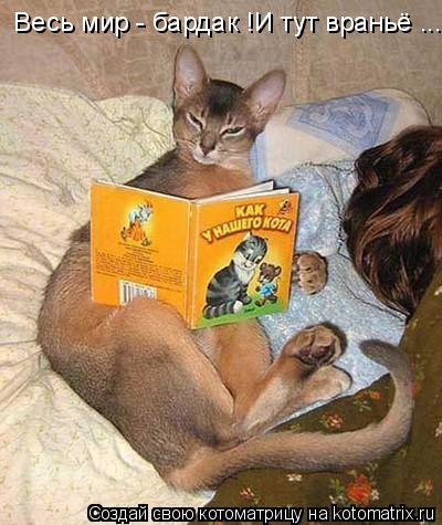 Весь мир - бардак !И тут враньё ...... Котоматрица: Весь мир - бардак !И тут враньё ...