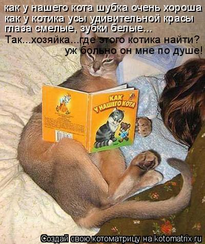 как у нашего кота шубка очень хороша как у котика усы удивительной красы глаза смелые, зубки белые...... Котоматрица: как у нашего кота шубка очень хороша как у котика усы удивительной красы глаза смелые, зубки белые... Так...хозяйка...где этого котика найти? у