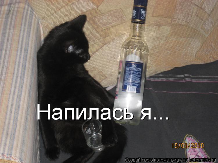 Напилась я...... Котоматрица: Напилась я...