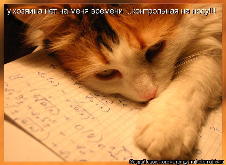 Котоматрица: у хозяина нет на меня времени....контрольная на носу!!!