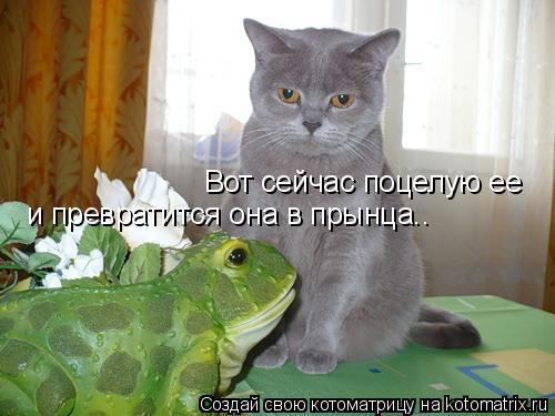 Вот сейчас поцелую ее и превратится она в прынца..... Котоматрица: Вот сейчас поцелую ее и превратится она в прынца..