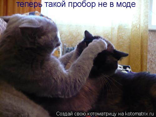 теперь такой пробор не в моде... Котоматрица: теперь такой пробор не в моде