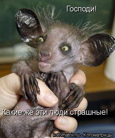 Господи! Какие же эти люди страшные!... Котоматрица: Господи! Какие же эти люди страшные!
