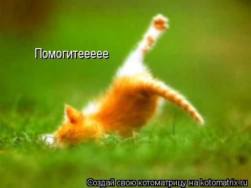 Помогитеееее... Котоматрица: Помогитеееее