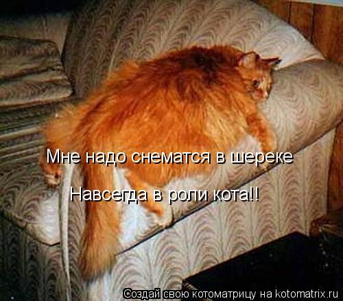 Мне надо снематся в шереке Навсегда в роли кота!!... Котоматрица: Мне надо снематся в шереке Навсегда в роли кота!!