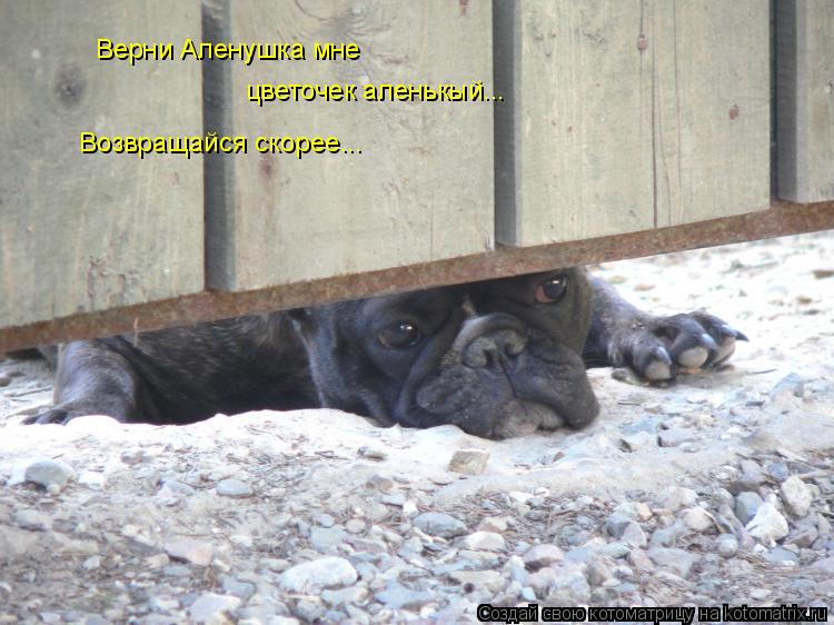 Верни Аленушка мне цветочек аленькый... Возвращайся скорее...... Котоматрица: Верни Аленушка мне цветочек аленькый... Возвращайся скорее...
